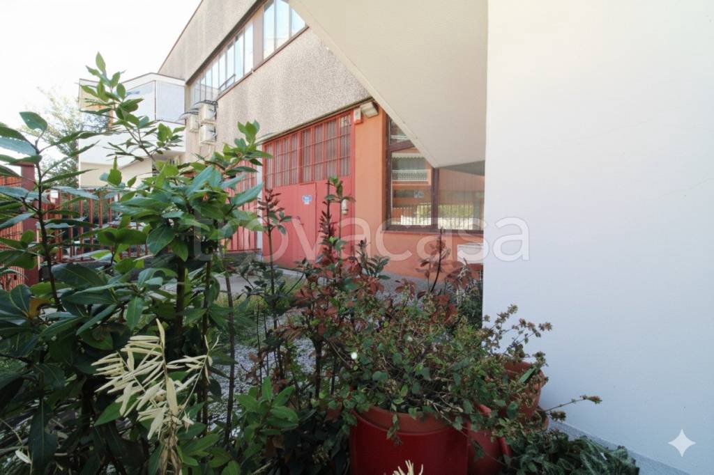 immagine annuncio 10 di 12