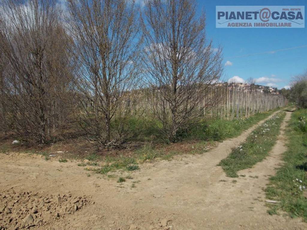 immagine annuncio 2 di 6