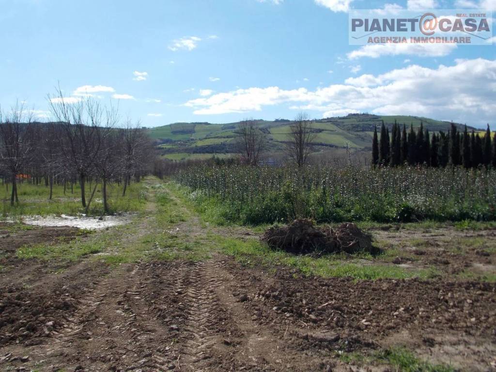 immagine annuncio 3 di 6