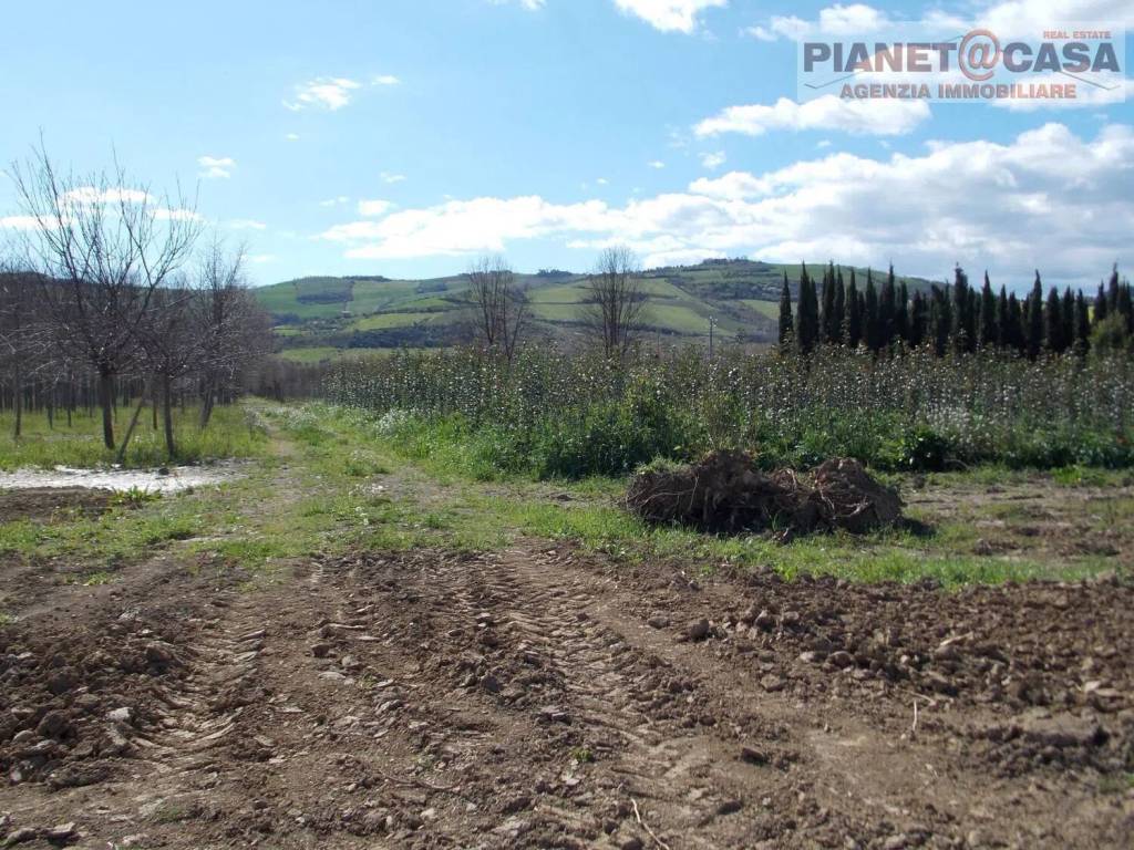 immagine annuncio 4 di 6