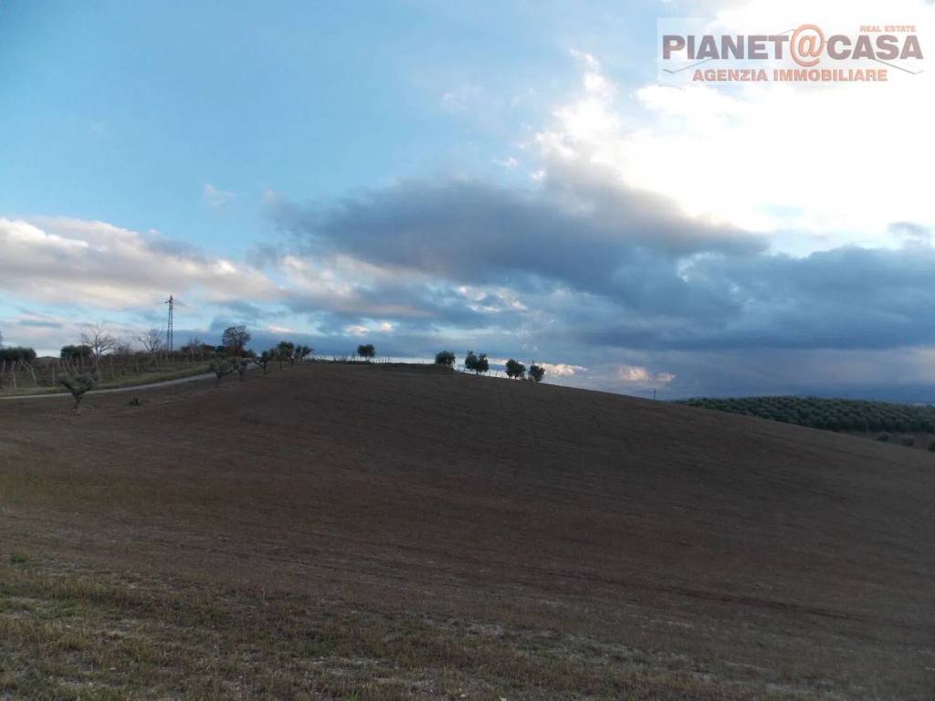 immagine annuncio 1 di 6