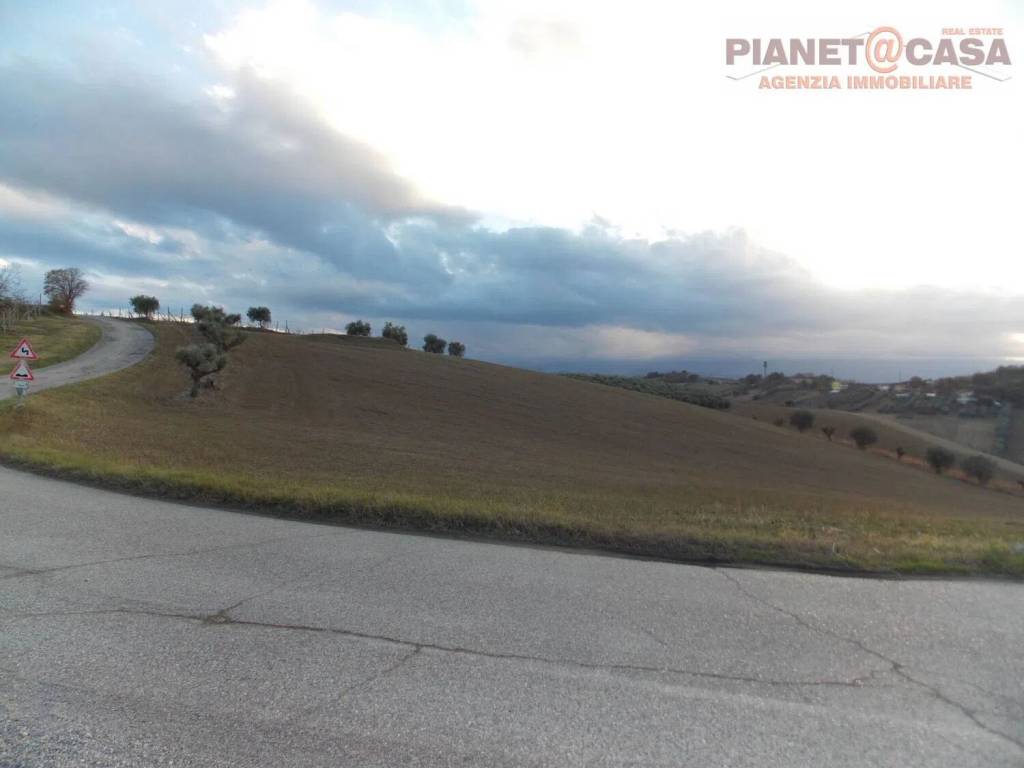 immagine annuncio 2 di 6