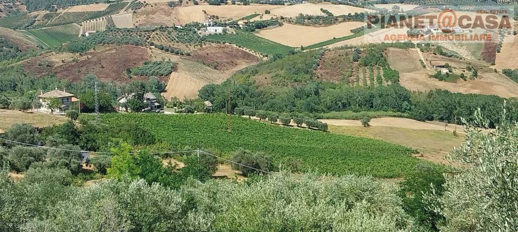 immagine annuncio 3 di 8