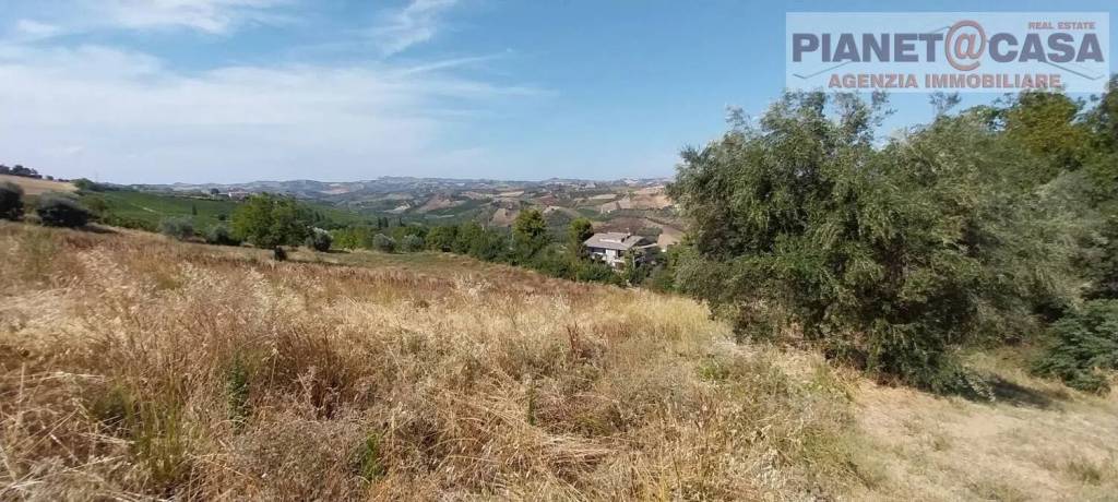 immagine annuncio 4 di 8