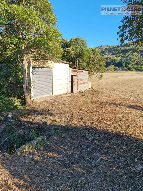 immagine annuncio 1 di 4