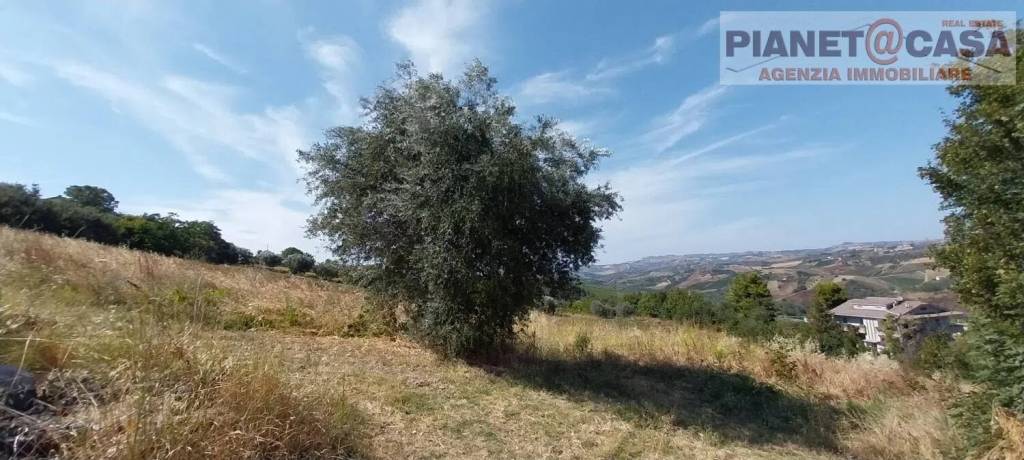 immagine annuncio 5 di 8