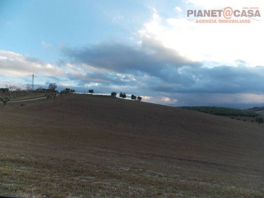 immagine annuncio 5 di 6