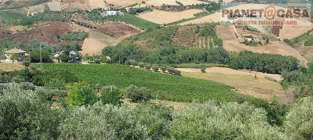 immagine annuncio 7 di 8