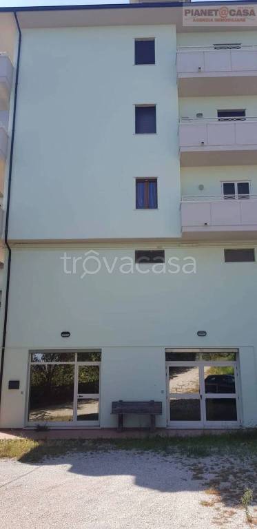 immagine annuncio 11 di 14