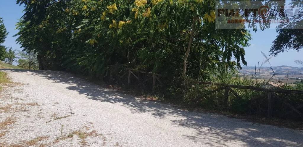 immagine annuncio 12 di 14