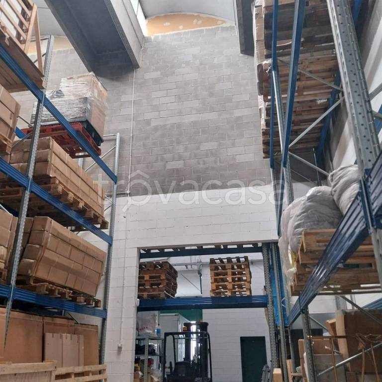 immagine annuncio 2 di 9