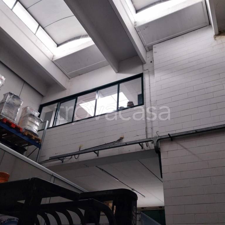 immagine annuncio 4 di 9