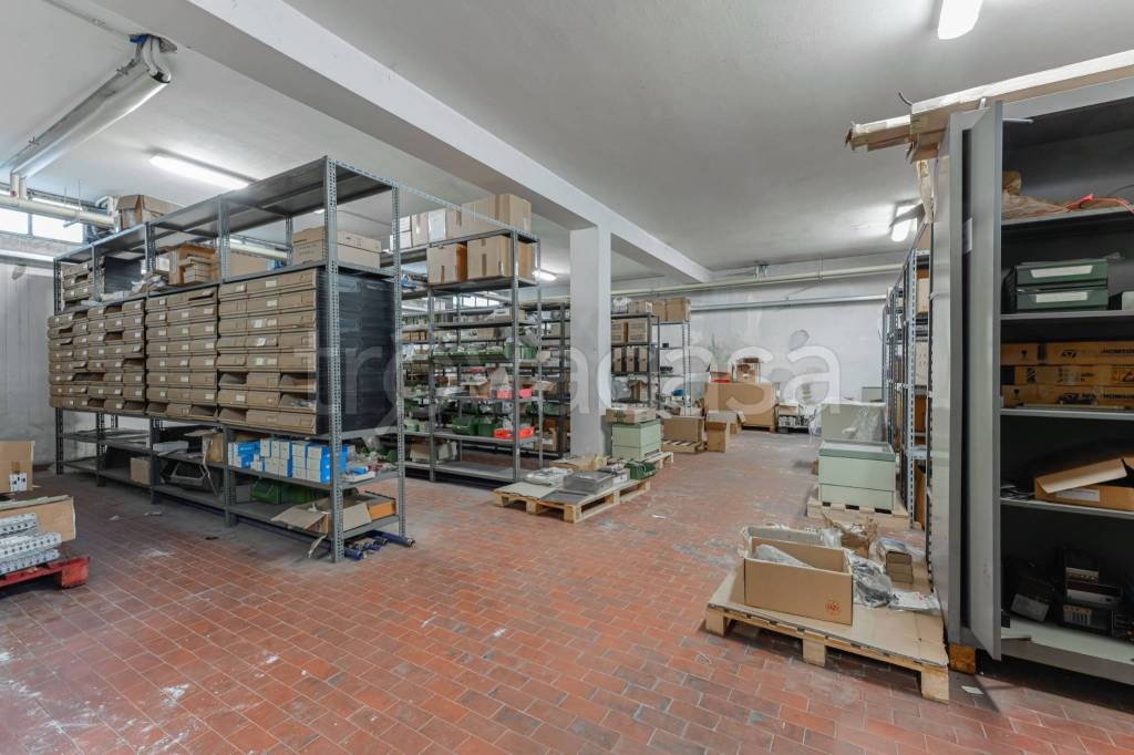 immagine annuncio 11 di 15