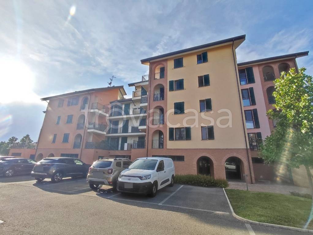 immagine annuncio 3 di 14