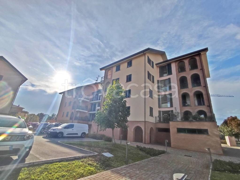 immagine annuncio 4 di 14