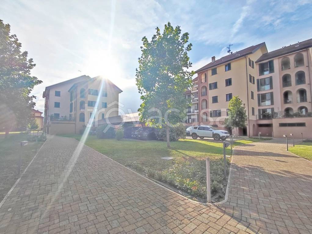 immagine annuncio 1 di 14