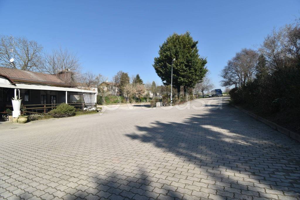 immagine annuncio 10 di 12