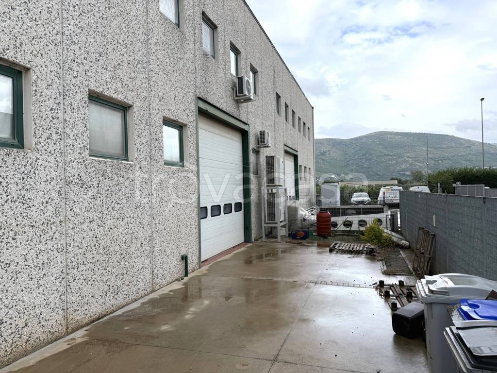 immagine annuncio 2 di 11