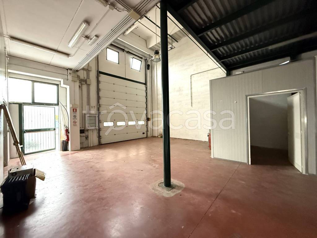 immagine annuncio 3 di 11