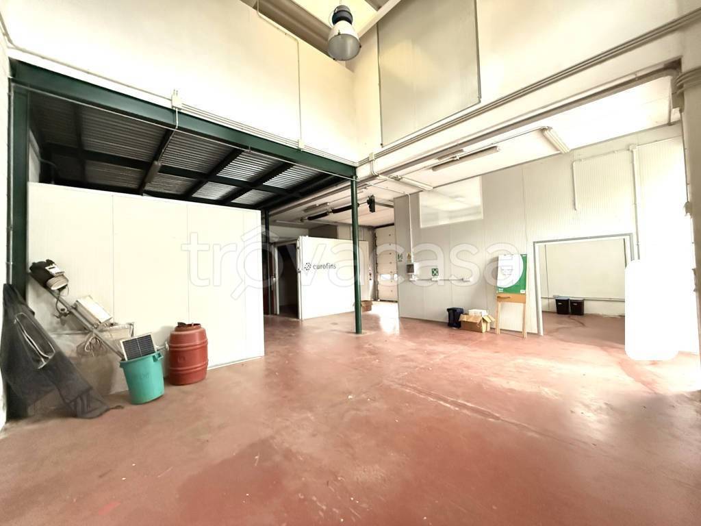 immagine annuncio 4 di 11