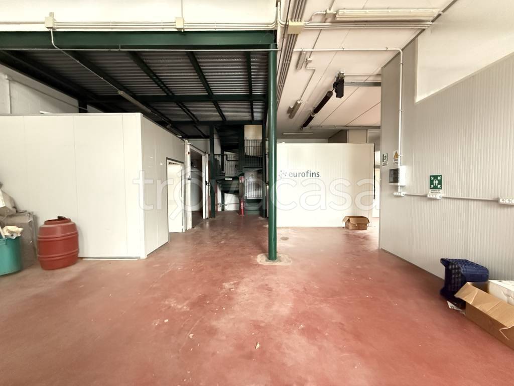 immagine annuncio 5 di 11