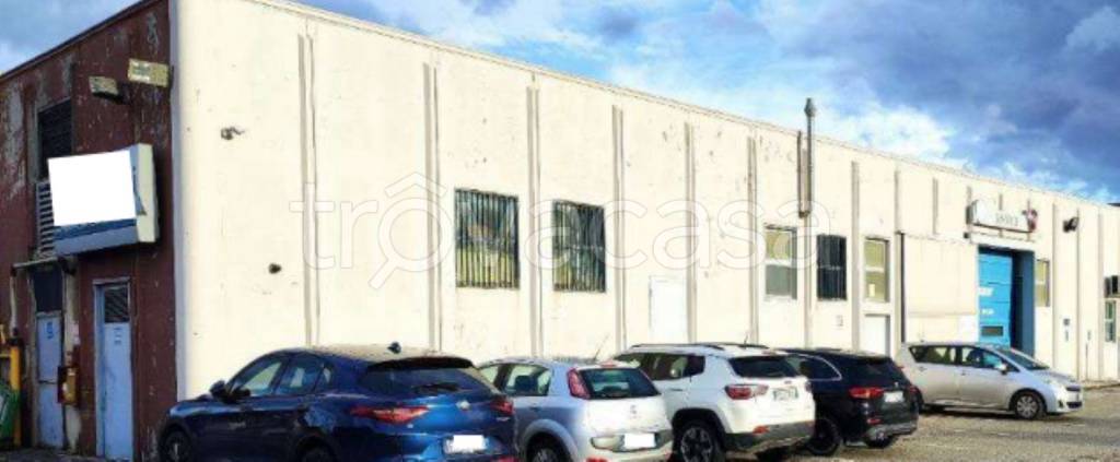 immagine annuncio 4 di 10