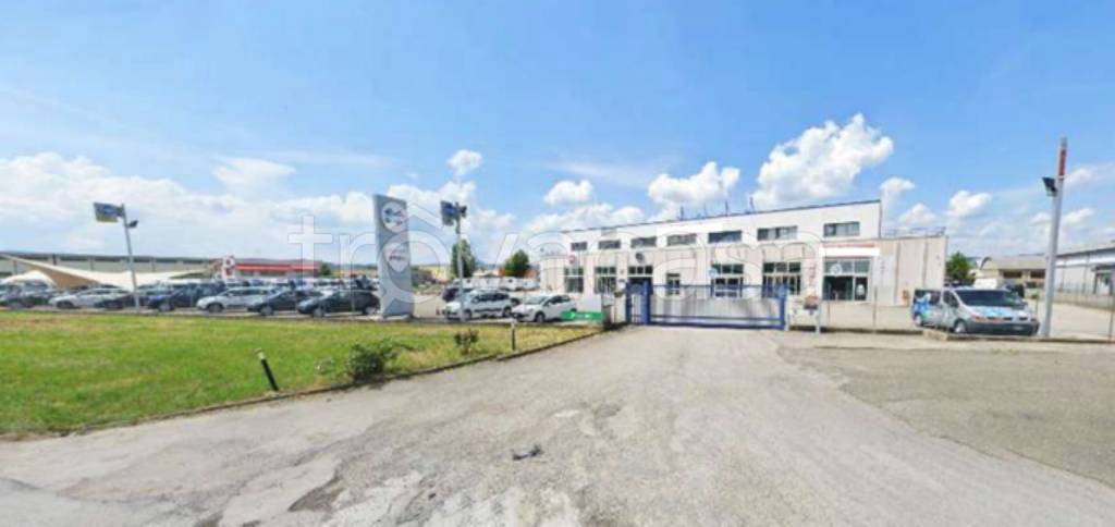 immagine annuncio 8 di 10