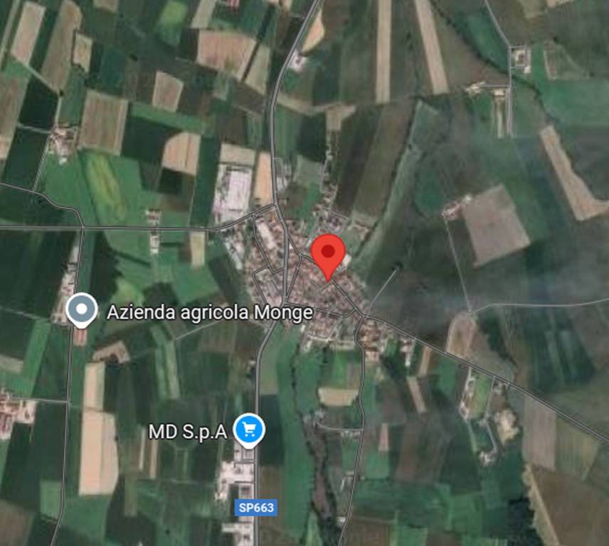 immagine annuncio 4 di 12