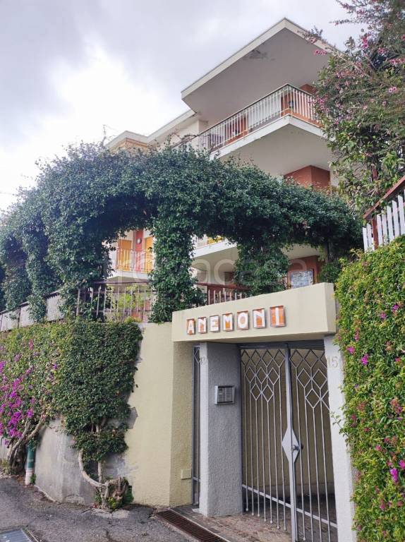 immagine annuncio 1 di 14