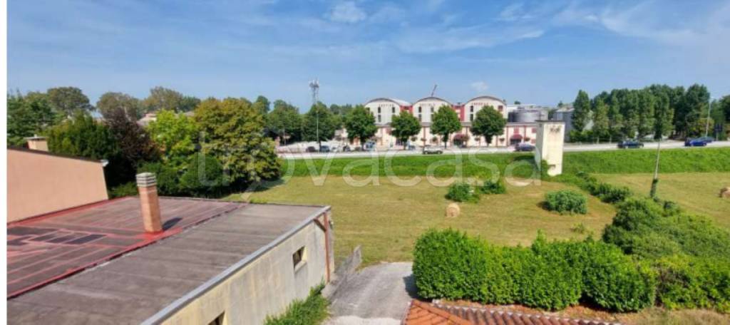 immagine annuncio 3 di 13