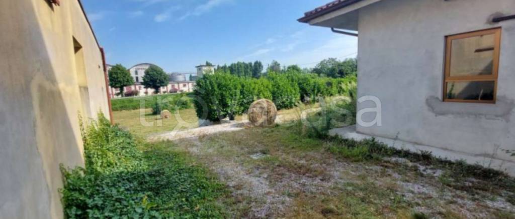 immagine annuncio 7 di 13