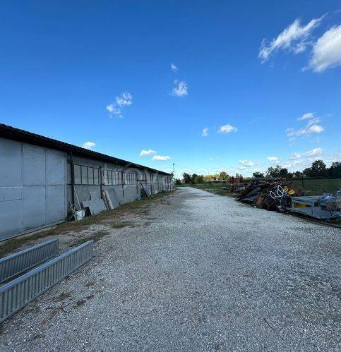 immagine annuncio 11 di 13