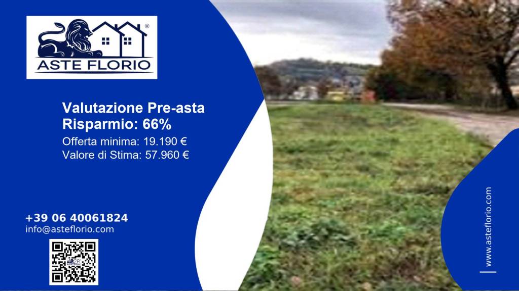 immagine annuncio 1 di 12