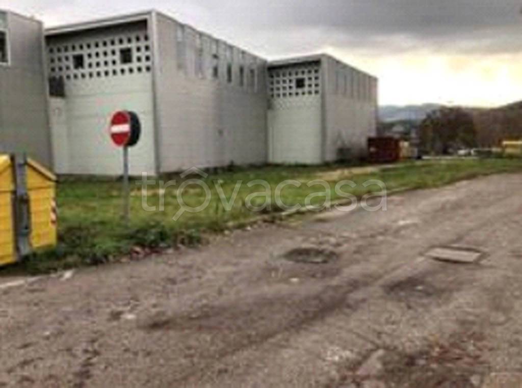 immagine annuncio 8 di 11