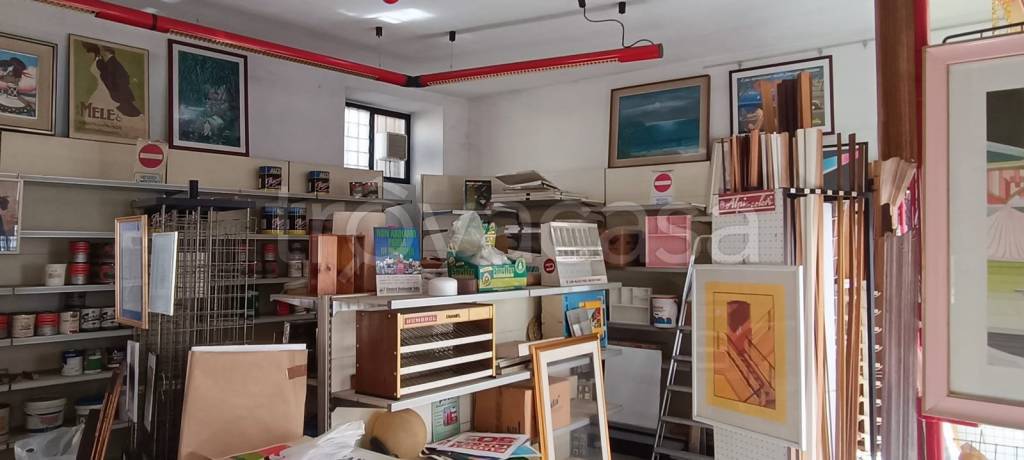 immagine annuncio 7 di 8