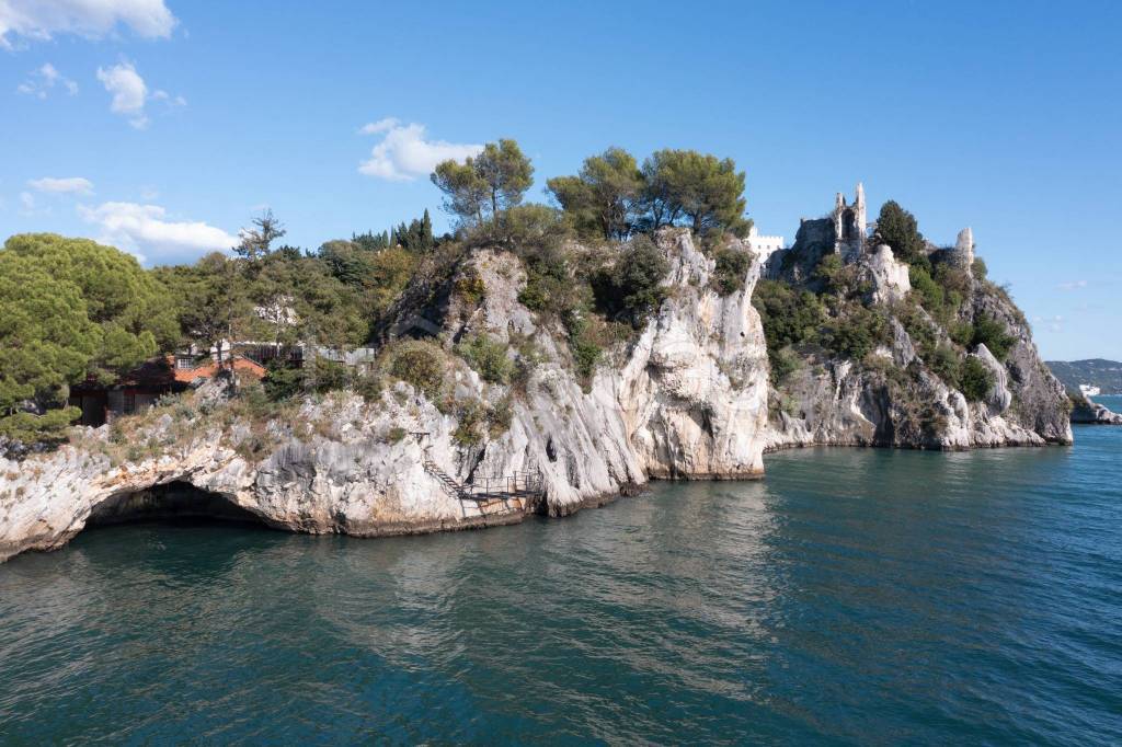 immagine annuncio 6 di 9