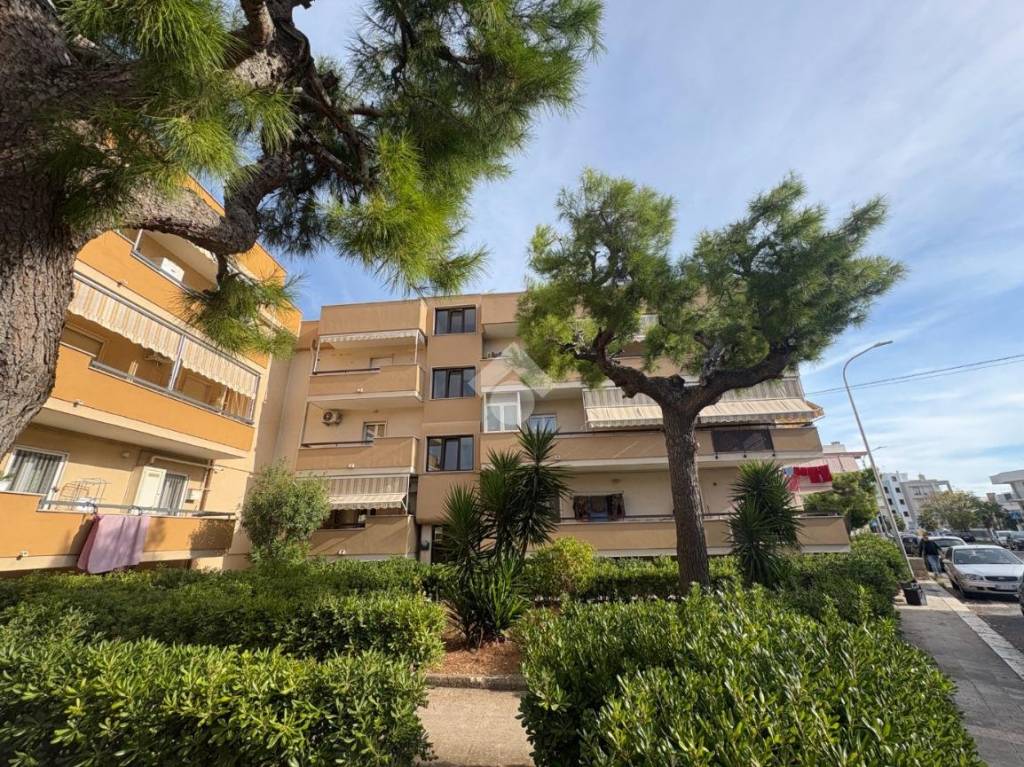 immagine annuncio 11 di 13