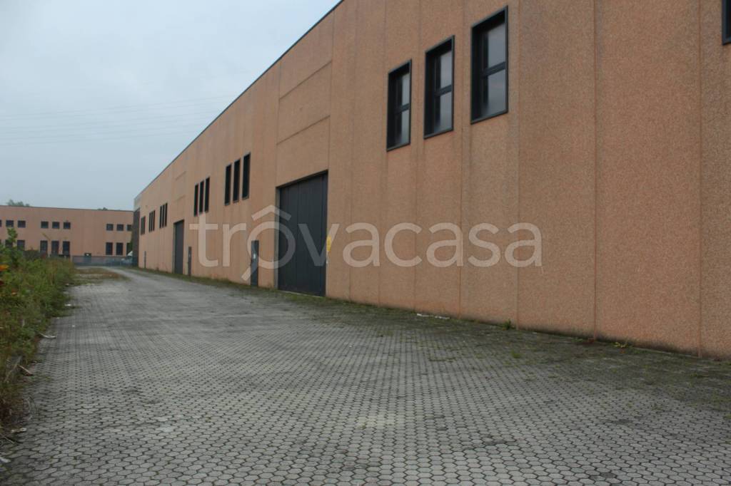 immagine annuncio 4 di 13