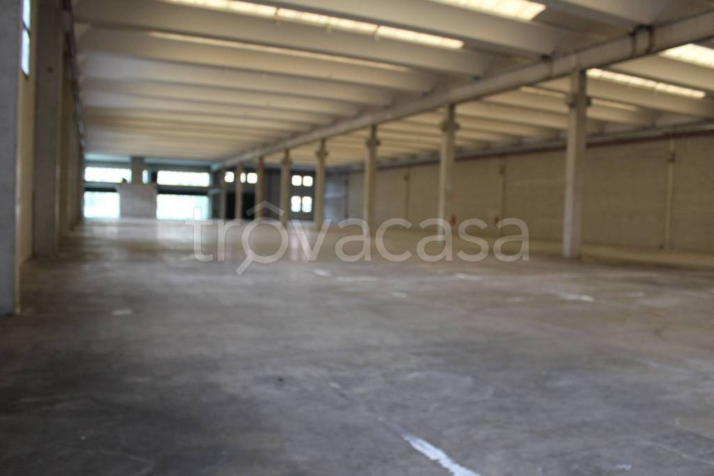 immagine annuncio 8 di 13