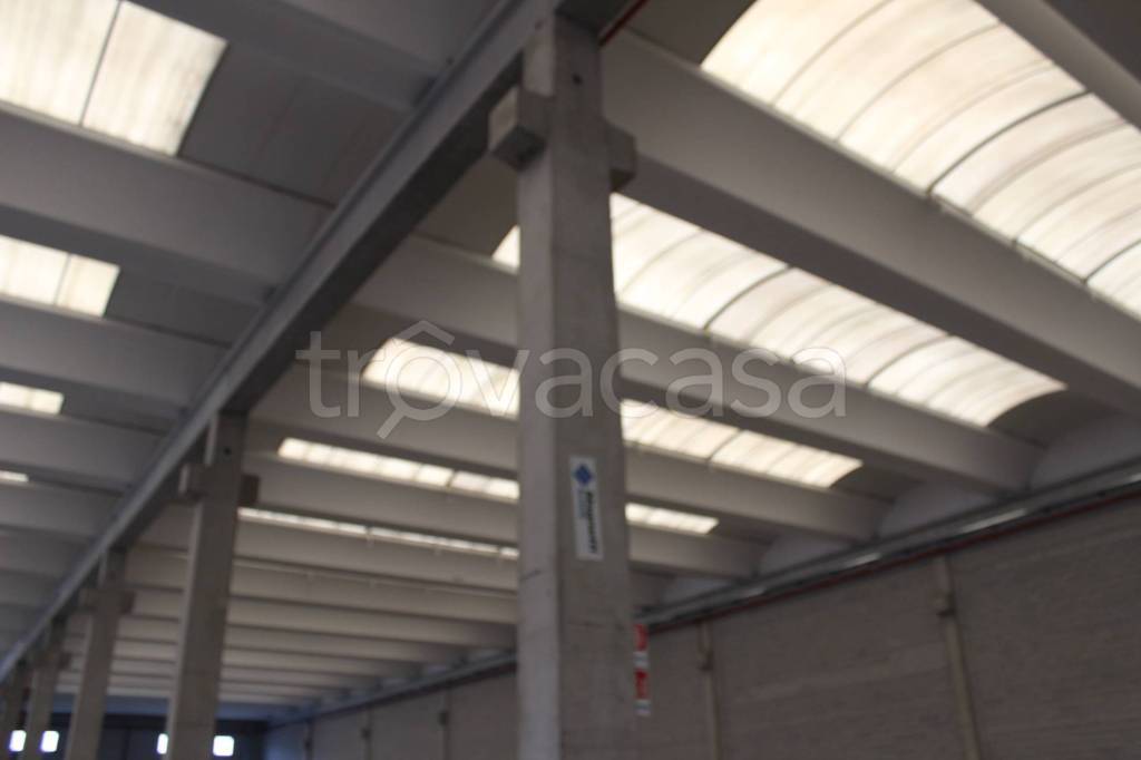 immagine annuncio 9 di 13