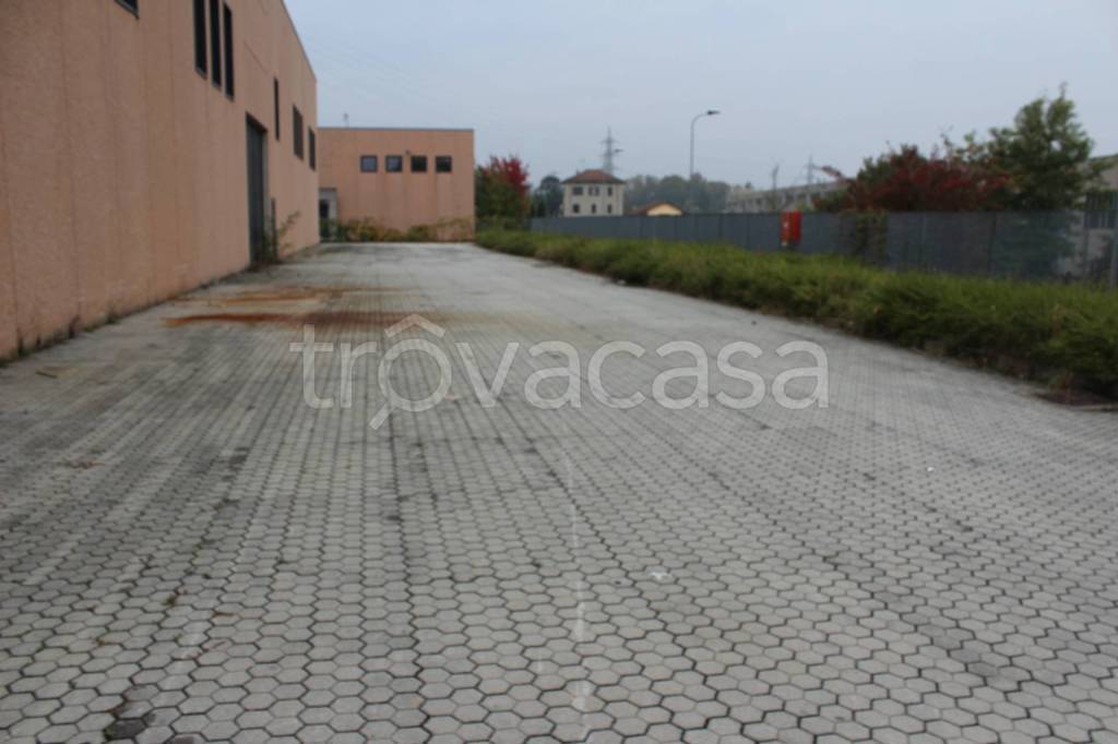 immagine annuncio 11 di 13