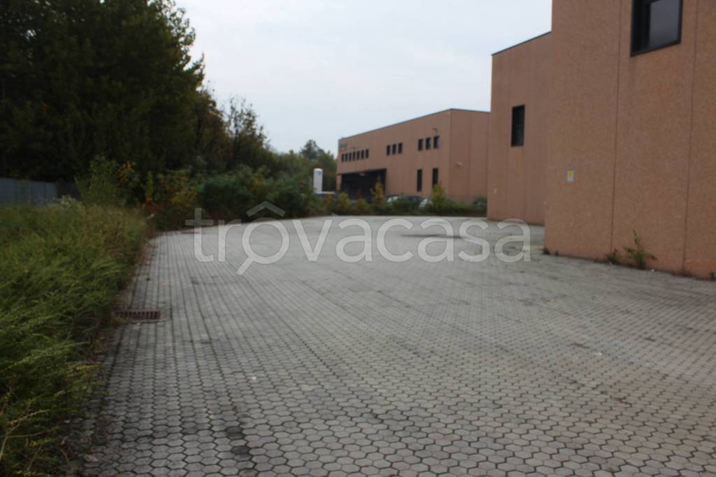 immagine annuncio 12 di 13