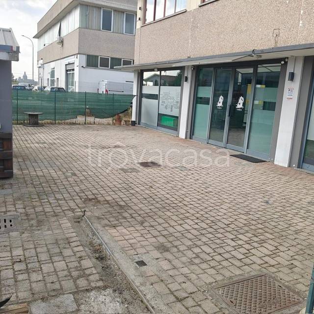 immagine annuncio 8 di 11