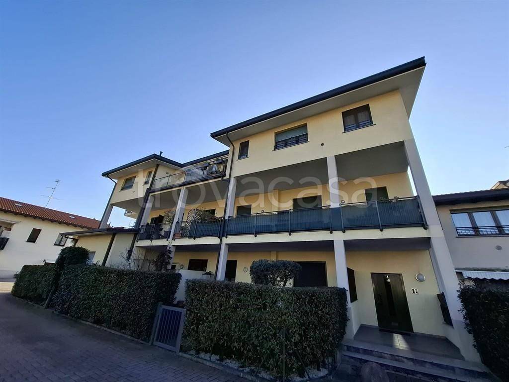 immagine annuncio 2 di 15