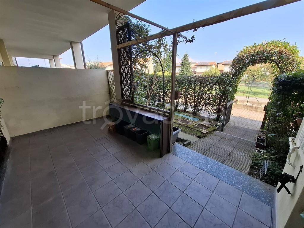 immagine annuncio 4 di 15