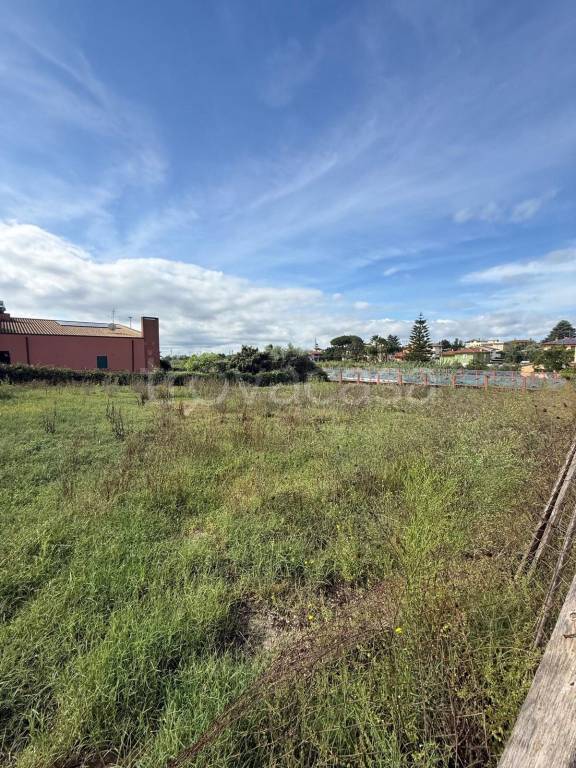 immagine annuncio 3 di 7