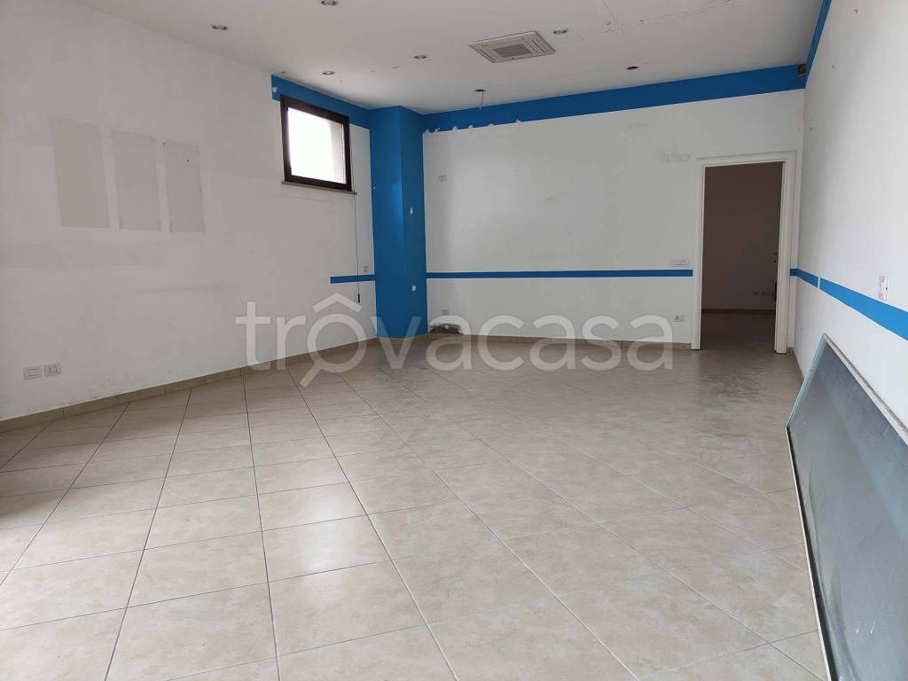 immagine annuncio 3 di 7