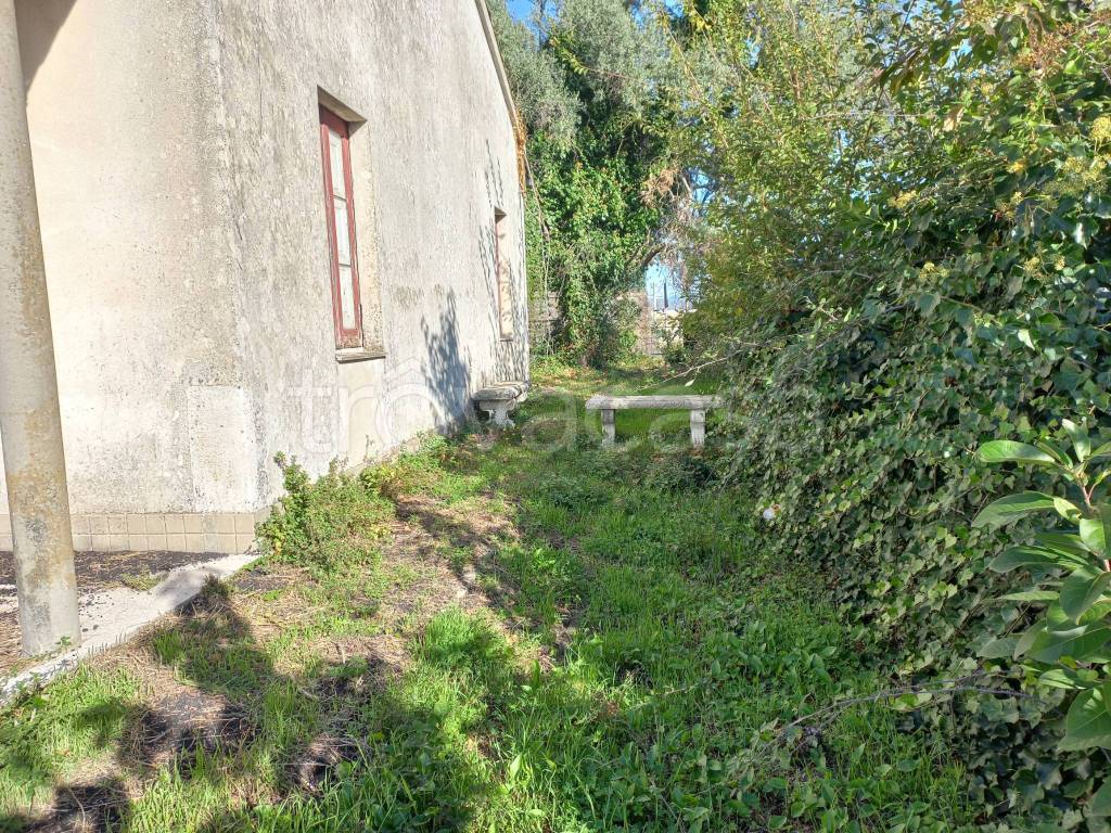 immagine annuncio 2 di 10