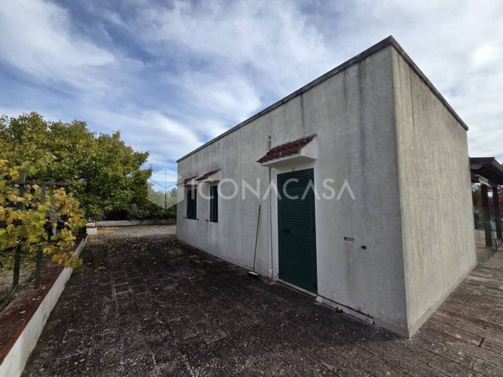 immagine annuncio 10 di 15