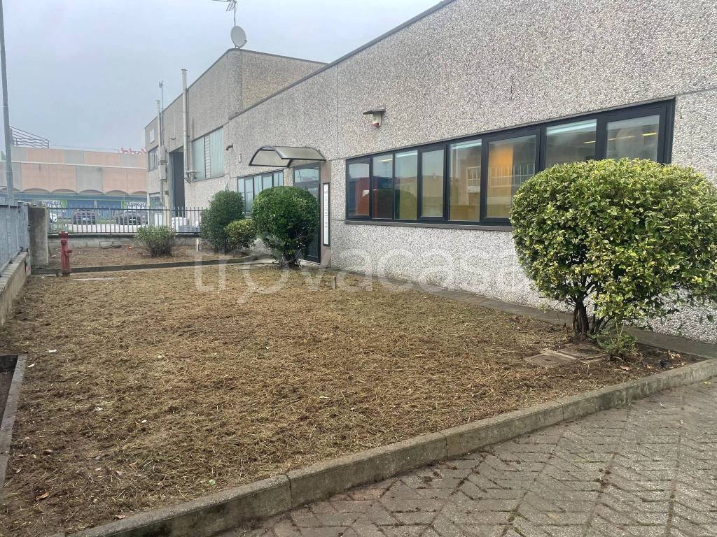 immagine annuncio 9 di 15